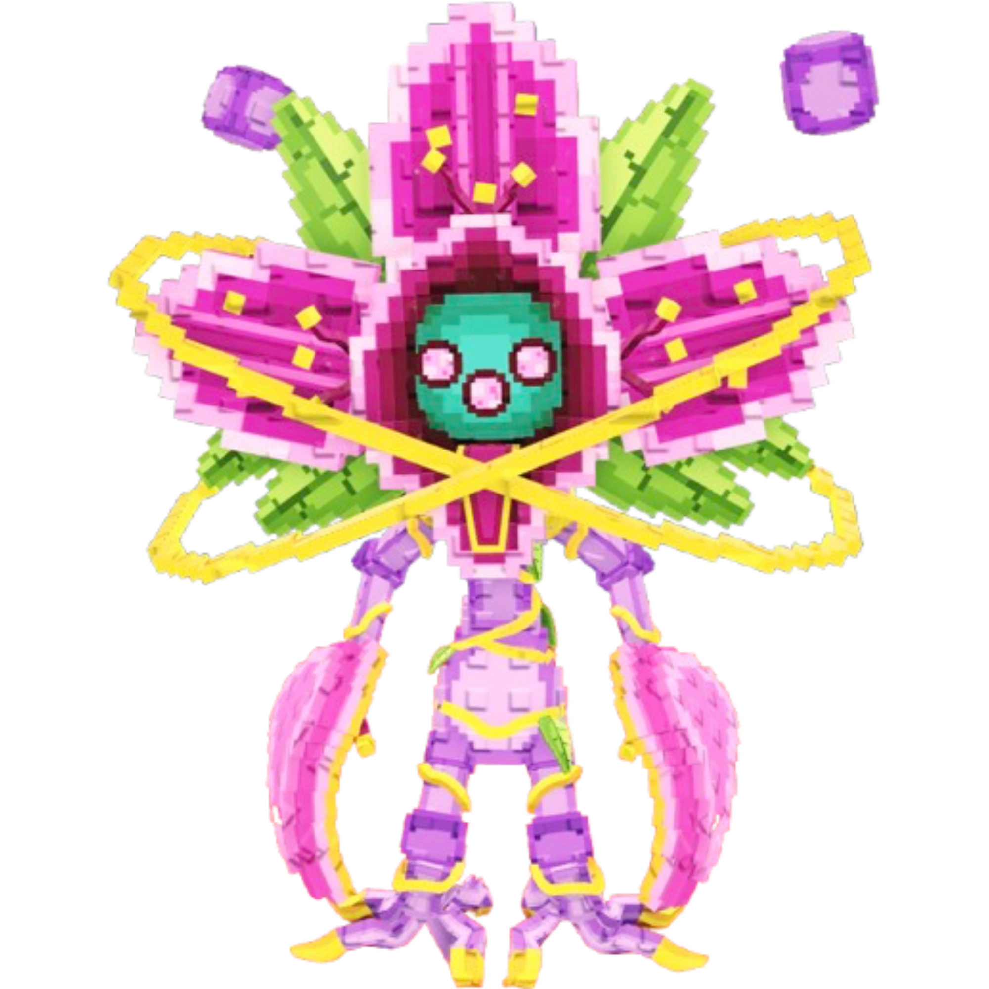 Orchidox