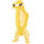 Harpuccino