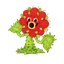Pop Pop Petalini