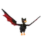Quackula